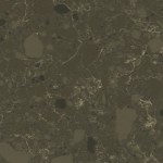 Veined Alberta