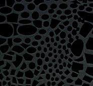 3100C Crocodile