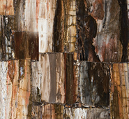 8331 Petrified Wood Retro