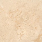 Crema Nova 